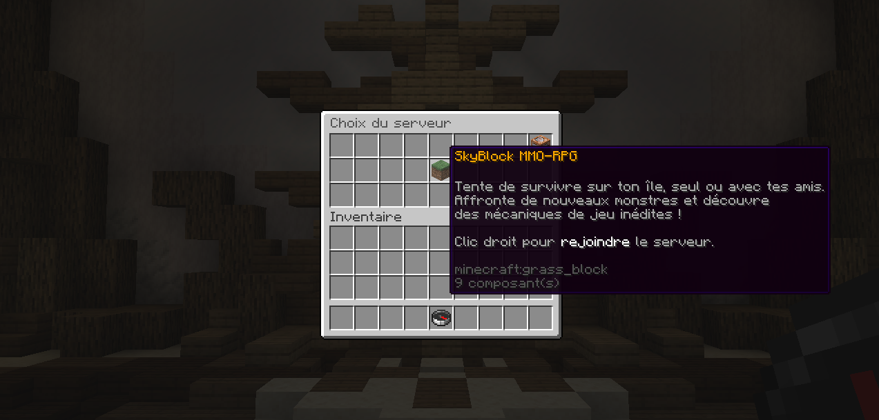 Visuel du menu de choix de serveur