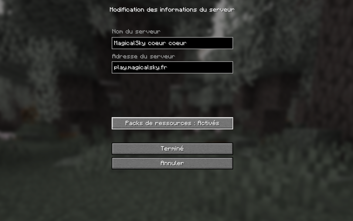 Visuel du menu multijoueur